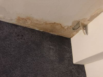 Professional water damage restoration services in Etobicoke